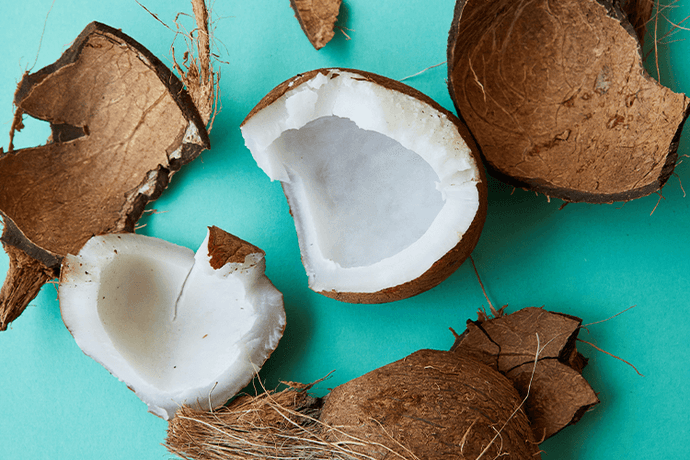 Nuts About Coconuts